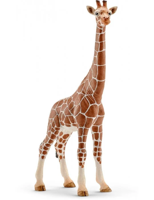 Schleich 14750 divoké zvieratko žirafa štíhla samica