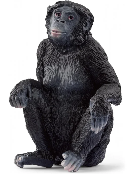 Schleich 14875 divoké zvieratko opica šimpanz bonobo