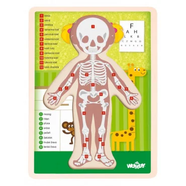 Woody Drevené puzzle Ľudské telo - dievčatko