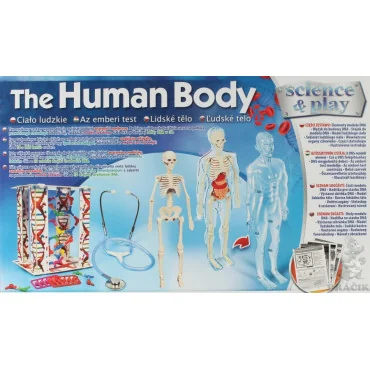 Clementoni 92445 Detské laboratórium - Sada ľudské telo